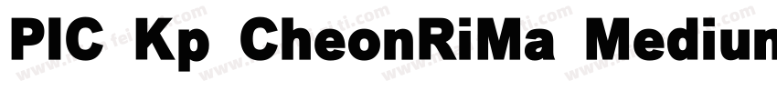 PIC Kp CheonRiMa Medium Kp 97KPS字体转换